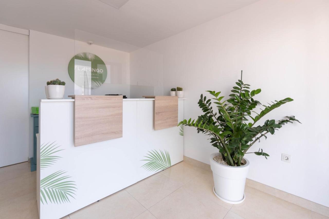 Apartamentos Flamingo Puerto del Carmen  Exteriér fotografie